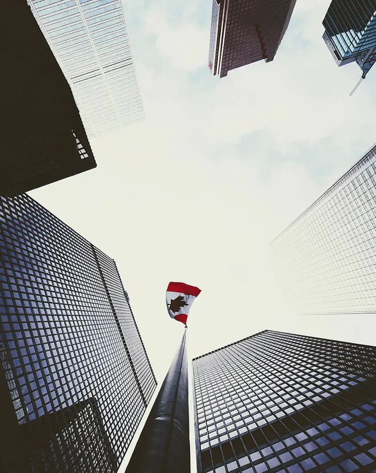Our Vision